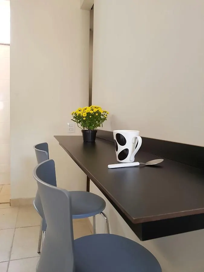 Studio Ana Laura Sao Paulo Apartment